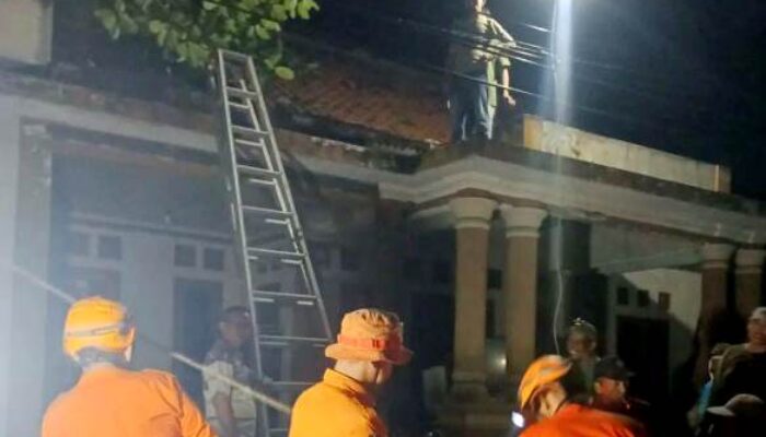 Waspada! Intensitas Curah Hujan Mulai Tinggi, BPBD Minta Warga Tingkatkan Kewaspadaan Pohon Tumbang