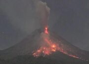 Status Siaga, Gunung Merapi 21 Kali Luncurkan Guguran Lava