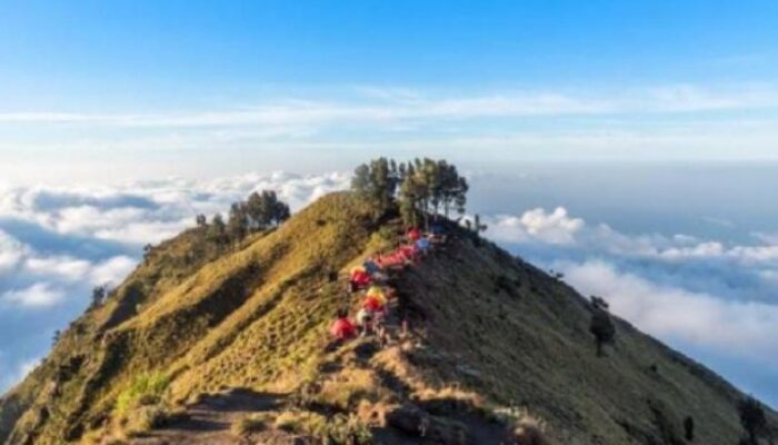 8 Hari Pencarian, Tim SAR Berhasil Temukan Jasad Pendaki Jakarta Hilang di Gunung Rinjani