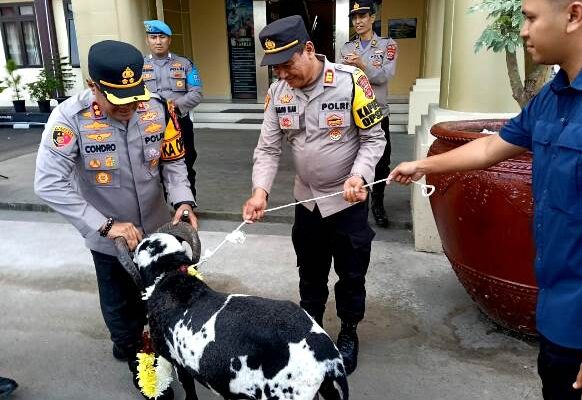 36 Tahun Mengabdi di Polri, Kabagren Polres Serang dapat Penghargaan dan Kambing Garut dari Kapolres Condro