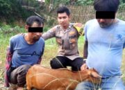 Motor Dibakar, Dua Maling Kambing di Serang Banten Bonyok Dikeroyok Massa
