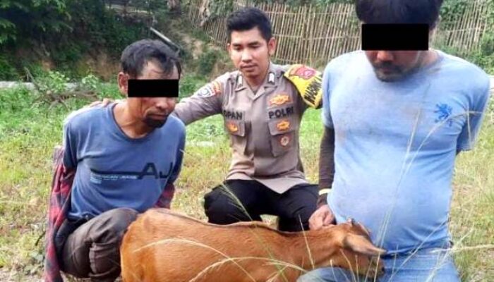 Motor Dibakar, Dua Maling Kambing di Serang Banten Bonyok Dikeroyok Massa