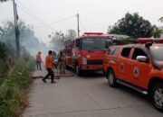 Diduga Berasal dari Pembakaran Sampah, BPBD Cilegon Bantu Padamkan Karhutla di Gedong Dalem