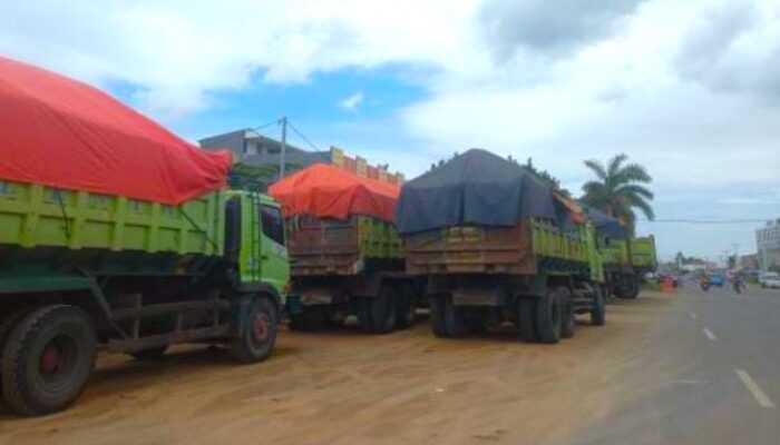  Aliansi Mahasiswa Demo, Sebut Pemerintah Lemah Atasi Kerusakan Lingkungan Akibat Tambang Ilegal