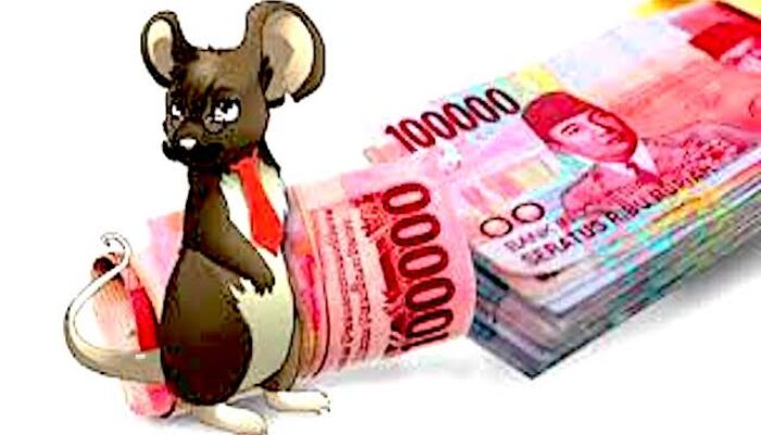 Telan Biaya Fantastis, Pembangunan Jembatan Penghubung Muaragembong Bekasi Disoal