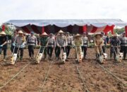 Dukung Swasembada Pangan 2025, Polda Banten Gerakan Penanaman Jagung 1 Juta Hektar