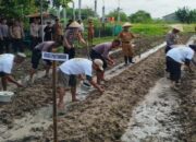 Tanam 1 Juta Benih Jagung Serentak, Kapolres Serang Berikan Bingkisan kepada Gapoktan