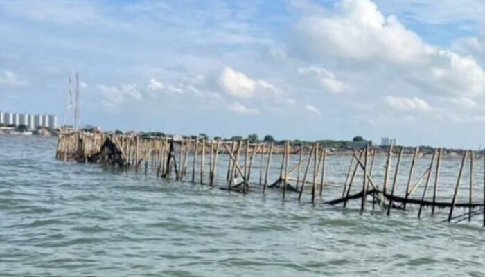 Hari Ini Pagar Laut di Pesisir Tangerang Utara Dibongkar Pasukan Gabungan