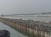 KKP Bakal Periksa PT TPRN Awal Februari Terkait Pemagaran Laut di Perairan Bekasi