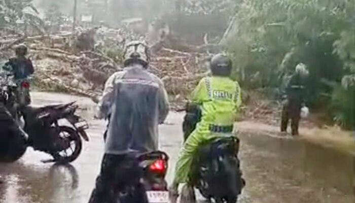 Tertimbun Longsor, Jalan Raya Palima-Cinangka Menuju Kawasan Wisata Anyer Terputus
