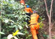 Seorang Lansia Dikabarkan Hilang di Hutan Pabuaran Serang Banten