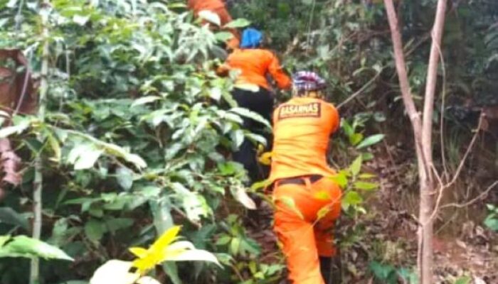 Seorang Lansia Dikabarkan Hilang di Hutan Pabuaran Serang Banten