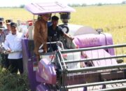 Panen Raya, Gubernur Banten Andra Soni Pastikan Harga Gabah Kering Panen Rp6.500/Kg