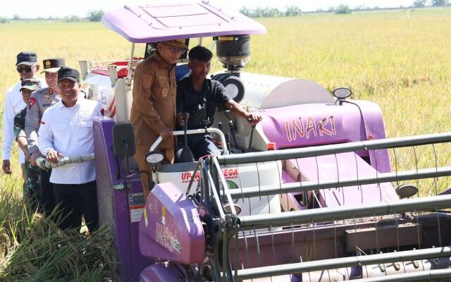 Panen Raya, Gubernur Banten Andra Soni Pastikan Harga Gabah Kering Panen Rp6.500/Kg