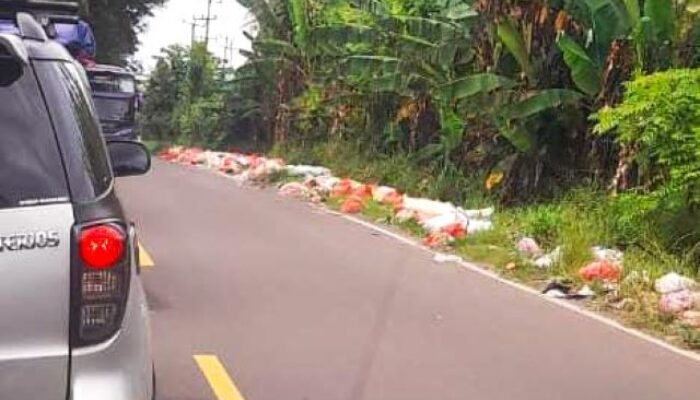 Sepanjang Jalan Wisata Anyer Cinangka Memprihatinkan, Sampah Dibiarkan Berserakan