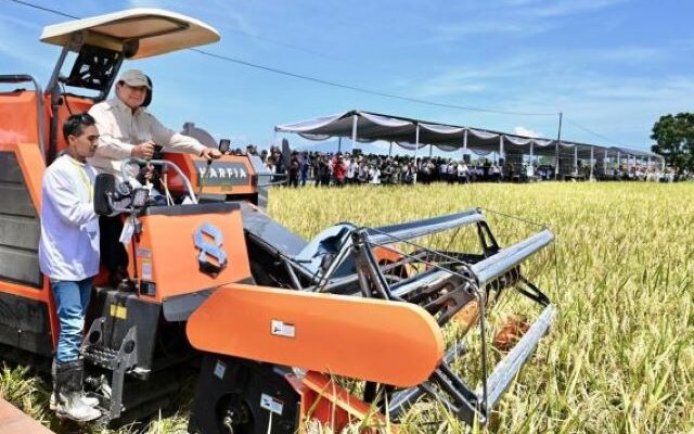 Panen Raya Nasional di Majalengka, Presiden Prabowo Turun ke Sawah