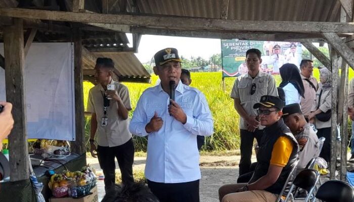 Panen Raya Padi di Pebayuran, Wabup Bekasi: Petani Perlu Tingkatkan Kompetensi Genjot Produktivitas