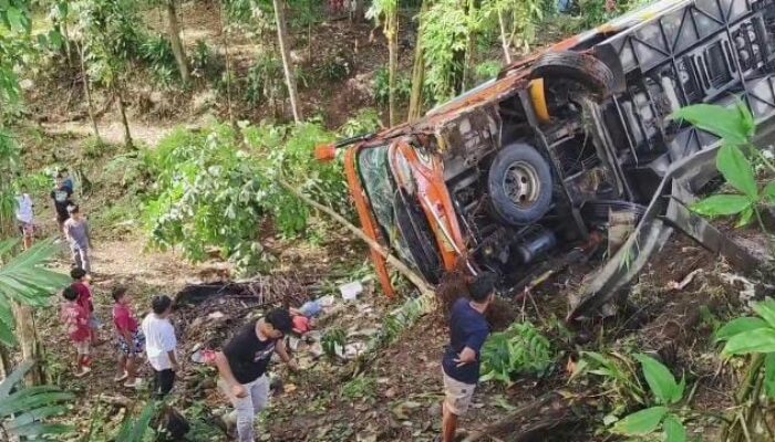 Bawa 60 Orang Wisatawan asal Bogor, Bus PO Dutra Parahiyangan Kecelakaan Masuk Jurang di Pandeglang Banten