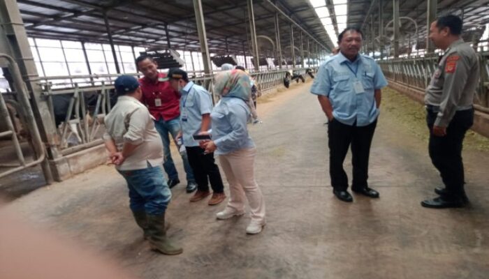Komisi III DPRD Subang Sidak Pabrik Susu Sapi PT APS, Temukan Titik Pencemaran Limbah
