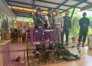 Karantina Banten Amankan Pengiriman 334 Ekor Burung Tanpa Dokumen di Pelabuhan Merak