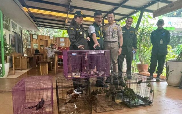 Karantina Banten Amankan Pengiriman 334 Ekor Burung Tanpa Dokumen di Pelabuhan Merak
