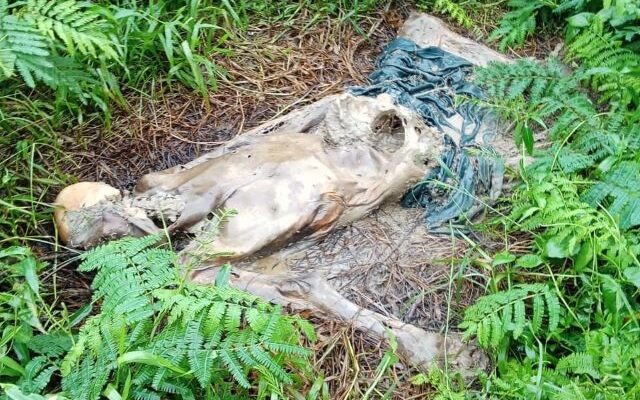 Warga Pebayuran Bekasi Temukan Kerangka Jasad Manusia di Semak-semak