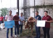 Puluhan Hewan Kurban Disalurkan Pemkab Bekasi, Hasil Donasi CSR Perusahaan