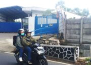 Warga Subang Resah, PT Agrijaya Prima Sukses Diduga Cemari Sungai Limbah B3 Bercampur Kotoran Sapi
