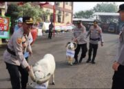 Kapolres Condro Berikan 2 Ekor Domba kepada Anggota yang Purna Tugas