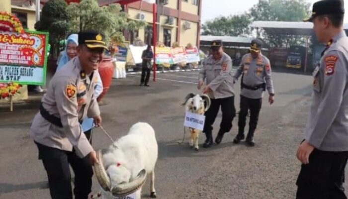 Kapolres Condro Berikan 2 Ekor Domba kepada Anggota yang Purna Tugas