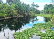 Viralkan Kali di Kedungwaringin Bekasi Menghitam, Warga Didatangi Utusan Perusahaan yang Diduga Buang Limbah