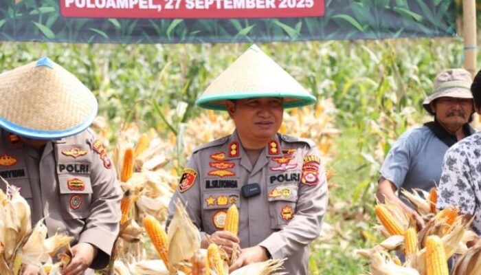 Polres Cilegon Gelar Panen Raya Jagung dan Gerakan Pangan Murah