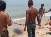 Polres Bangka Tengah Ungkap Temuan Potongan Tubuh Manusia di Pantai Batu Beriga
