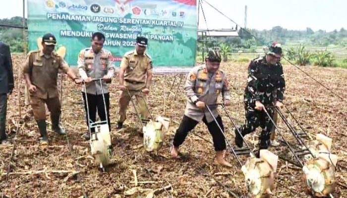 Polres Serang Banten Tanam Jagung Kuartal IV Diatas Lahan seluas 5 Hektare