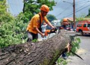 Prakiraan Cuaca Sepekan ke Depan, Waspadai Cuaca Ekstrem, Hujan dan Petir