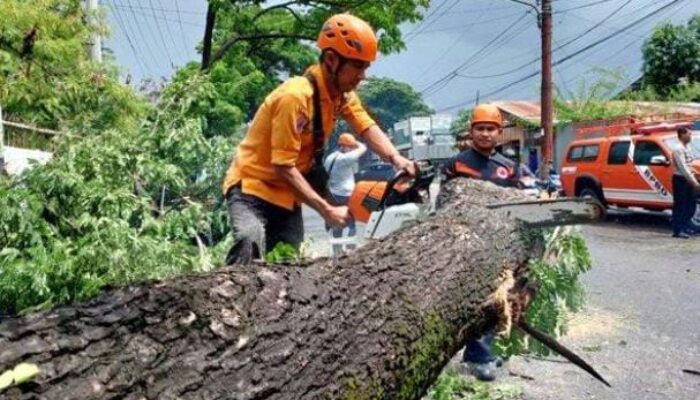 Prakiraan Cuaca Sepekan ke Depan, Waspadai Cuaca Ekstrem, Hujan dan Petir