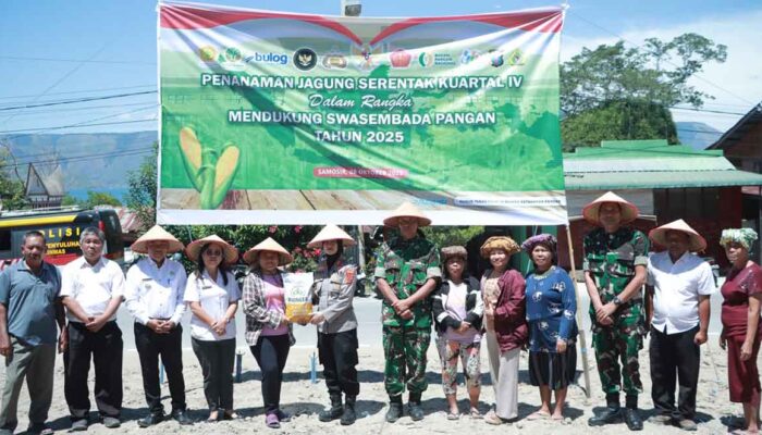 Polres Samosir Tanam Jagung Serentak Kuartal IV: Wujud Dukungan Ketahanan Pangan Nasional