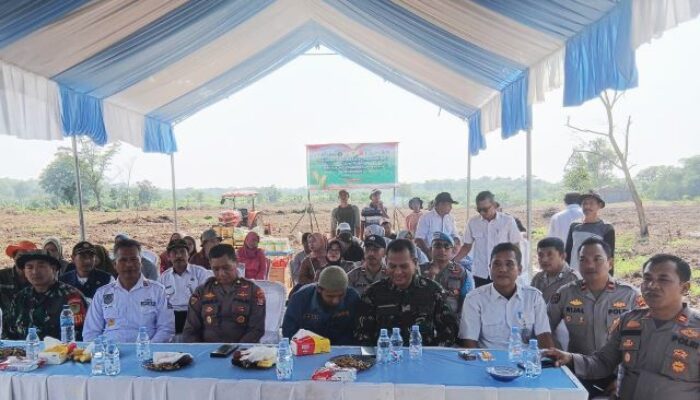 Program “Satu Desa Satu Hektar”, Polres Serang Banten Penanaman Jagung Serentak Kuartal IV seluas 30 Hektar