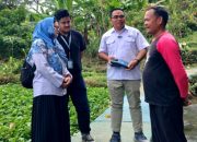 Penutupan Galian C di Cijambe Berdampak Positif, Mata Air Cibulakan Milik Perumda Tirta Rangga Subang Kembali Jernih