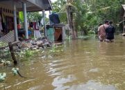 Subang Utara Dilanda Rob Ketinggian Capai 1,2 Meter, Ratusan KK Terdampak Desak Solusi Jangka Panjang