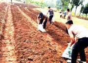 Dukung Swasembada Pangan, Polda Jabar Siap Tanam Jagung dan Ubi Ungu Diatas Lahan 750 Hektare