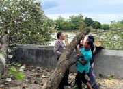 Aksi Cepat Anggota Polsek Kragilan Serang Banten Bersihkan Pohon Tumbang dengan Alat Seadanya