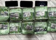 Polisi Lampung Gagalkan Penyelundupan 10,63 Kg Sabu Campur Durian dari Aceh Tujuan Pulau Jawa