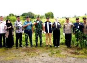 Wali Kota Cilegon Mengawali Penanaman Sejuta Pohon, Cegah Bencana dan Perbaiki Lingkungan