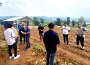 Polda Jabar Kerjasama PTPN, Tanam Jagung di Lahan 110,2 Hektar untuk Ketahanan Pangan