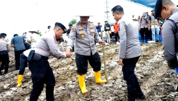 Hadiri Penanaman Jagung di Lahan. 433,76 Hektar Sumedang, Kapolri: Skema Polda Jabar Patut Dicontoh