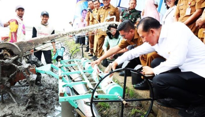 Provinsi Banten Tembus Delapan Besar Lumbung Beras Nasional, Andra Soni Soroti Ketahanan Pangan